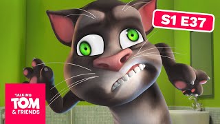 Talking Tom amp Friends  The Famous Monster Season 1 Episode 37 [upl. by Mercie507]