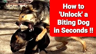 Stop a Dog Fight Instantly  Unlock a Biting Dog in SECONDS [upl. by Tish666]