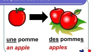 French Lesson 92  Plural nouns Grammar Rules Pronunciation  Le pluriel des noms en français [upl. by Adaynek]