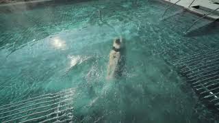 QC Terme Chamonix  Spa amp Wellness Center [upl. by Oiliduab224]