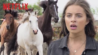 Wild Horse Stampede  Free Rein  Netflix After School [upl. by Oiluig]