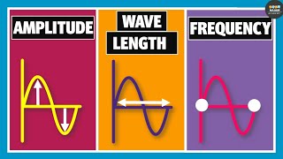 Wavelength Frequency Time Period and Amplitude  Physics [upl. by Ecam]