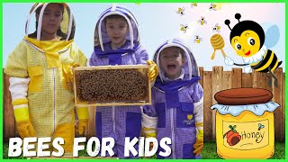 Learn About Bees for Kids  Pollination for Kids  Beekeeping for Kids [upl. by Retsub]