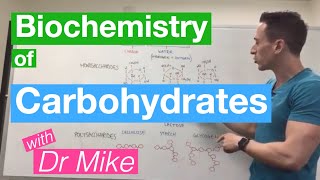 Carbohydrates  Biochemistry [upl. by Eseuqram]