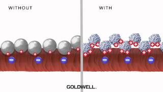 Goldwell Kerasilk Repower amp Reconstruct  Back Bar [upl. by Nnaeirb]