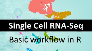 Single Cell RNASeq full workflow in R  public data to classified UMAP in 30 mins [upl. by Noyr]