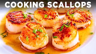 Live Scallops [upl. by Enelyt512]