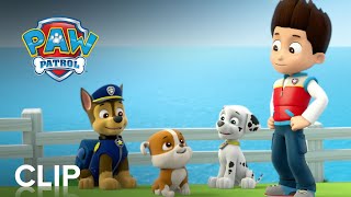 PAW Patrol Jet to the Rescue  Lets Jet to the Rescue Clip [upl. by Micco994]