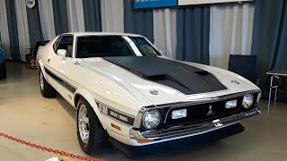 19711973 Mustang Mach 1 amp Boss Mustang and A Rare Shelby Europa At the 2021 Ford Nationals [upl. by Osnerol]