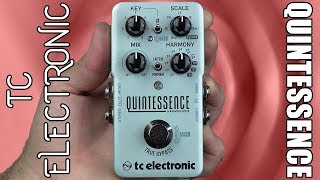 TC Electronic Quintessence Harmony Demo amp Review  Stompbox Saturday [upl. by Morton]