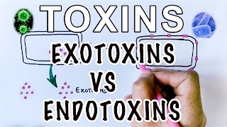 Overview of Toxins  Exotoxins Vs Endotoxins [upl. by Ateekahs]