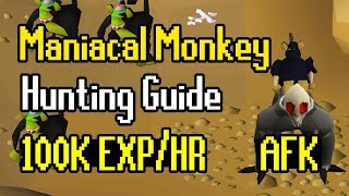 Maniacal Monkey Hunting Guide  AFK Hunter Method  100K ExpHr [upl. by Etiam228]