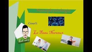 01 Tissu Nerveux  Neurophysiologie Bac Tunisie [upl. by Kirsch808]