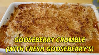 Homemade Gooseberry Crumble [upl. by Carrel]