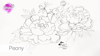 Easy Way To Draw Peony For Beginners  STEP BY STEP Drawing Tutorial [upl. by Primaveras]