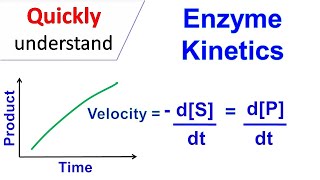 Enzyme kinetics [upl. by Alehc]