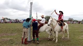 Jineteadas de Caballos Montas del Festival 🤠🐎 El Sauceño Jineteadas Rural Agro Campero Jaripeo [upl. by Ailaroc]