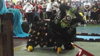 Kwong Ngai Lion Dance 吉隆坡光艺醒狮团 [upl. by Ahseyn105]