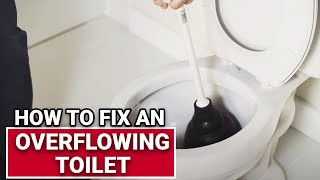 How To Fix An Overflowing Toilet  Ace Hardware [upl. by Antonius]