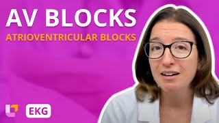 Atrioventricular Blocks AV Blocks  EKG Interpretation  LevelUpRN [upl. by Wakerly708]