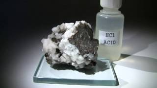 Calcite and Dolomite Reacting with Hydrochloric Acid [upl. by Ailema]