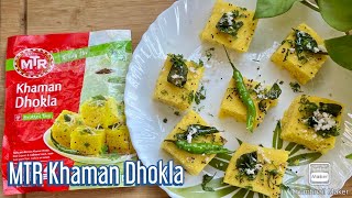 MTR Khaman Dhokla Recipe  MTR Dhokla Recipe  Instant MTR Khaman Dhokla in Pressure Cooker [upl. by Tra487]