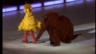 Sesame Street  Big Bird and Snuffy ice skate [upl. by Howey]