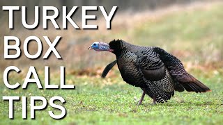 TURKEY CALLING TIPS  Box Calls For Beginners [upl. by Nimajaneb]