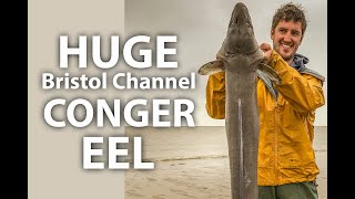 HUGE Bristol Channel ShoreCaught Conger Eel [upl. by Hesoj]