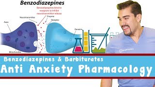 Anti Anxiety Pharmacology Benzodiazepines and Barbiturates [upl. by Garmaise]