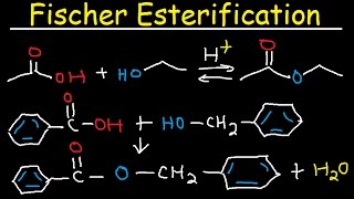 Fischer Esterification Reaction Mechanism  Carboxylic Acid Derivatives [upl. by Tyrus]