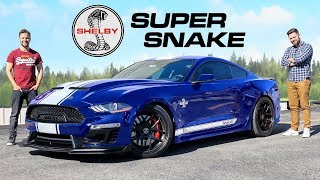 2020 Shelby Super Snake Review  800 Horsepower GT500 Killer [upl. by Aerdnac]