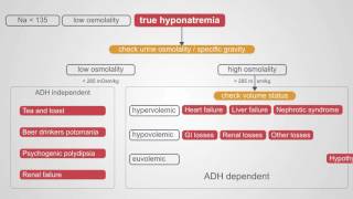 Diagnosing Hyponatremia A Comprehensive Algorithm [upl. by Ardnasella]