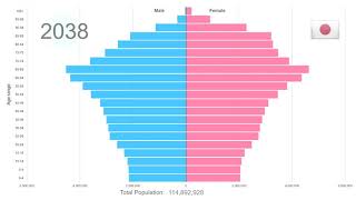 Japan Population Pyramid 19502100 [upl. by Harbour707]