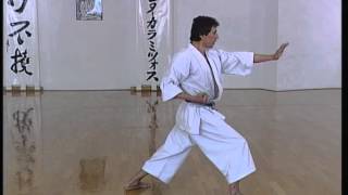 Wankan  Efthimios Karamitsos  Karate  Kata  Shotokan [upl. by Gan694]