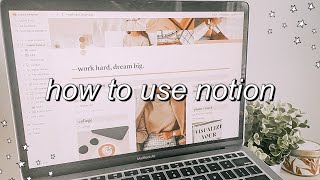 HOW TO ORGANIZE YOUR LIFE WITH NOTION with template [upl. by Powel287]