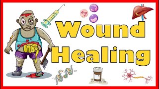 Wound Healing Mechanism Types Primary Secondary amp Tertiary intention of healing amp Complications [upl. by Yleek888]