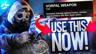 BreakDown of Vorpal Weapon and Champions  Destiny 2 [upl. by Eidolem]