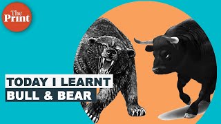 What do bull and bear mean in the stock market [upl. by Risay230]