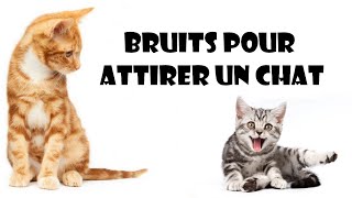 Bruits pour attirer un chat [upl. by Irrok]