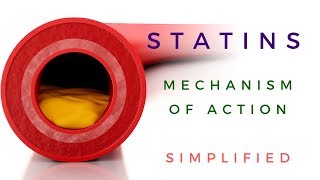 Statins Mechanism Of Action Animated [upl. by Niassuh]