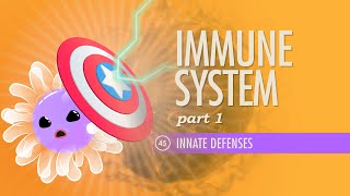 Immune System Part 1 Crash Course Anatomy amp Physiology 45 [upl. by Julee268]