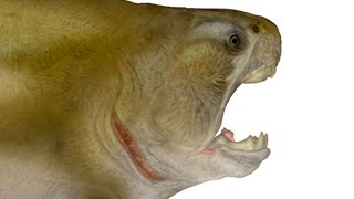 Paleo Profile  Dunkleosteus [upl. by Katalin]