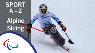 Para Alpine Skiing Sports of the Paralympic Winter Games [upl. by Niven564]