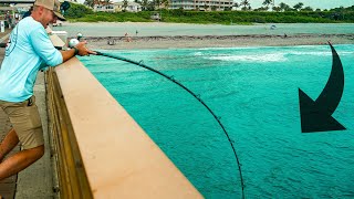 BATTLING PIER GIANTS Juno Pier Fishing [upl. by Cuttler]