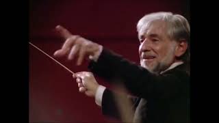 Mahler Symphony No 6  IV Finale Excerpt  Leonard Bernstein  Vienna Philharmonic Orchestra [upl. by Ahsinat]