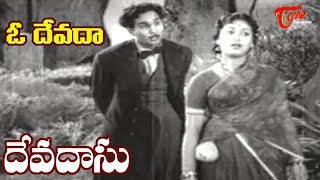 Devadasu Movie  O Devada Song  ANR  Savitri  Old Melody Songs  OldSongsTelugu [upl. by Rivi]