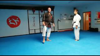 Shotokan Kata Wankan Bunkai by Karatepraxis [upl. by Anaik]