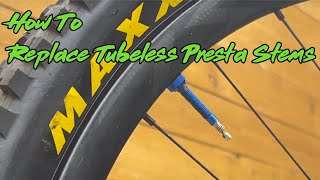 HowTo Replace Tubeless Presta Valve Stems on Bike Tires  JACO [upl. by Orhtej]