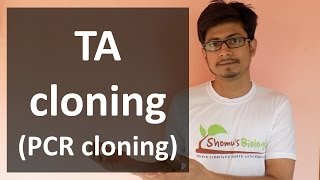 TA Cloning PCR cloning [upl. by Atsev773]